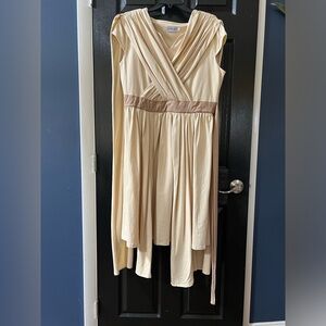 Disney’s Star Wars ‘Rey’ ADULT dress